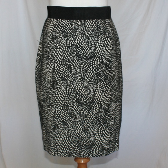 Ann Taylor Skirt 2 - Picture 2 of 3